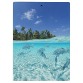 Fische in Meer Klemmbrett (Rückseite)