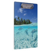 Fische in Meer Klemmbrett (Rechts)