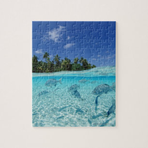 Fische in Meer Puzzle