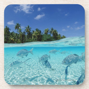 Fische in Meer Untersetzer
