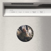 Fische in Meerestiefen Magnet (In Situ (Geschirrspüler))
