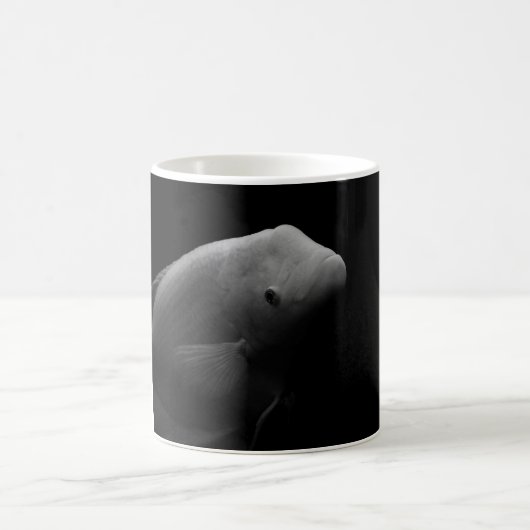 Fische in Tank Kaffeetasse (Mittel)