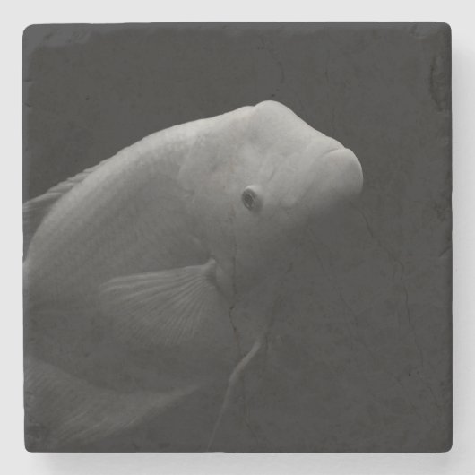 Fische in Tank Steinuntersetzer (Vorderseite)