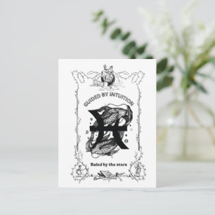 Fische Intuition Himmelsdesign Postkarte
