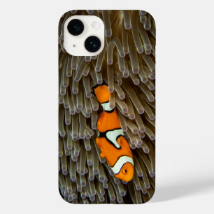 Fische, Korallen, Unterwasser Case-Mate iPhone 14 Hülle