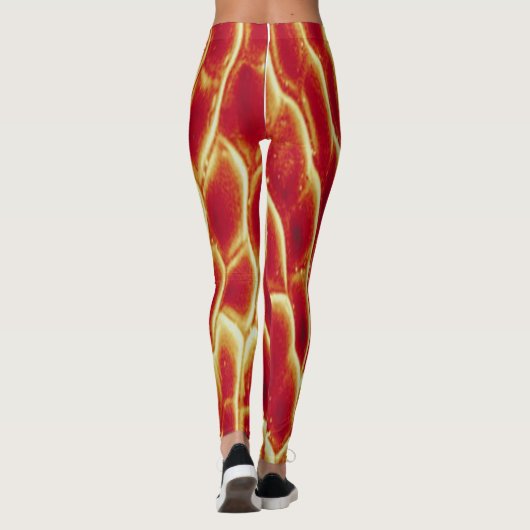 FISCHE Laufen/Workout/Treffpunkt-Leggings Leggings (Rückseite)