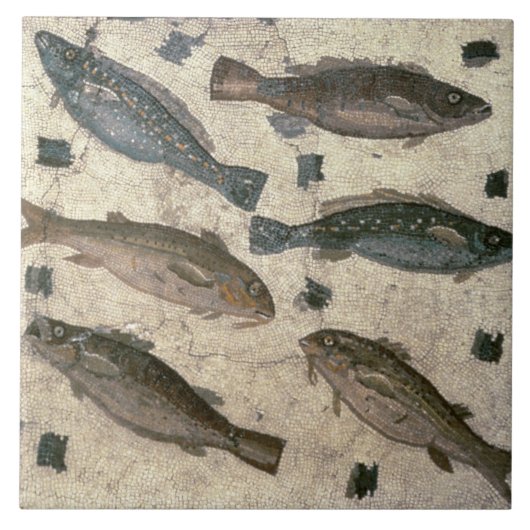 Fische (Mosaik) Fliese (Vorderseite)