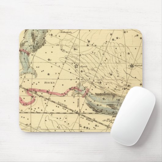 Fische Mousepad (Mit Mouse)