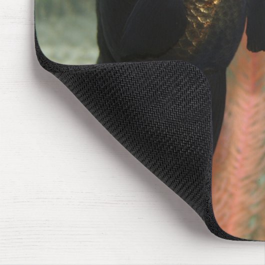 Fische Mousepad (Ecke)