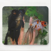 Fische Mousepad (Vorne)