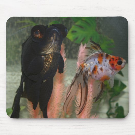 Fische Mousepad (Vorne)