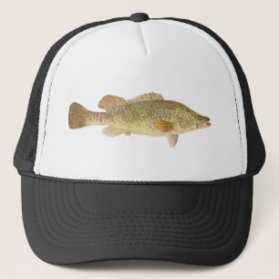 Fische - Murray-Kabeljau - Maccullochella Truckerkappe