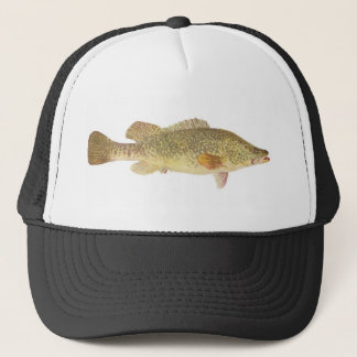 Fische - Murray-Kabeljau - Maccullochella Truckerkappe