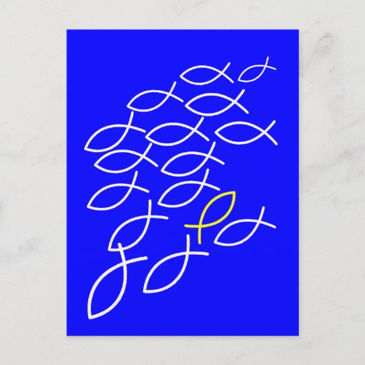 Fische Postkarte (Vorderseite)