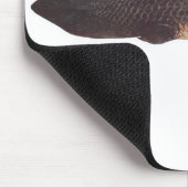 Fische - Qld. Lungfish - Neoceratodus forsteri Mousepad (Ecke)