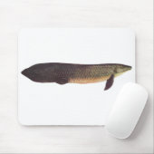 Fische - Qld. Lungfish - Neoceratodus forsteri Mousepad (Mit Mouse)
