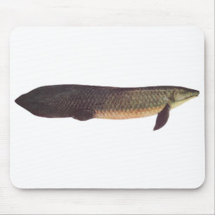 Fische - Qld. Lungfish - Neoceratodus forsteri Mousepad