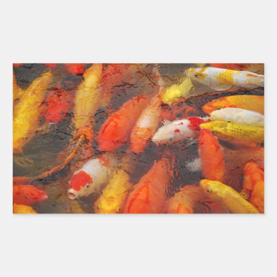 Fische Rechteckiger Aufkleber