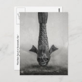 Fische Regenschauer in Savannah, Ga. Postkarte (Vorne/Hinten)