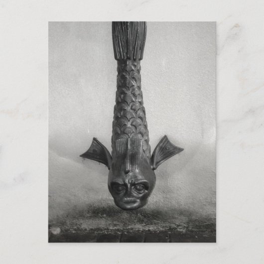 Fische Regenschauer in Savannah, Ga. Postkarte (Vorderseite)