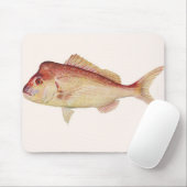 Fische - Rotbarsch - Chrysophrys guttulatus Mousepad (Mit Mouse)