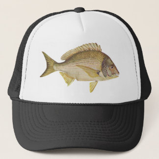 Fische - schwarzer Brachsen - Mylio australis Truckerkappe