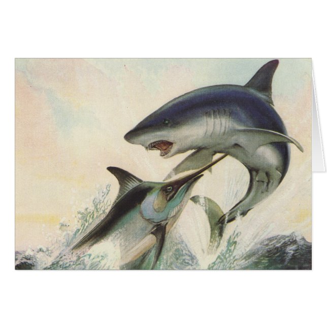 Fische - schwarzer Speerfisch u. Mako-Haifisch (Vorderseite (Horizontal))