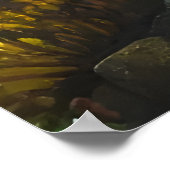 Fische schwimmen im Meer | Art der AI Poster (Ecke)