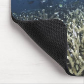 Fische schwimmen über totem Riff Mousepad (Ecke)