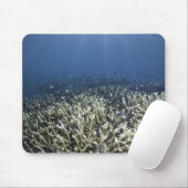 Fische schwimmen über totem Riff Mousepad (Mit Mouse)