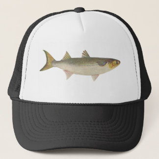 Fische - Seemeeräsche - Meeräsche dobula Truckerkappe