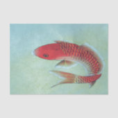 FISCHE Seidenpapier (Vorderseite)