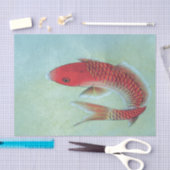 FISCHE Seidenpapier (Handwerk)