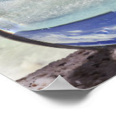 Fische springen aus dem Aquarium Poster (Ecke)