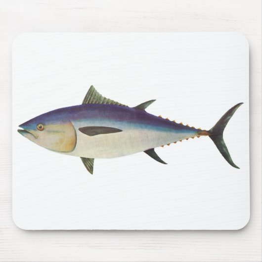 Fische - südlicher Bluefin-Thunfisch - Thunnus Mousepad (Vorne)