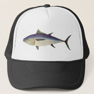Fische - südlicher Bluefin-Thunfisch - Thunnus Truckerkappe