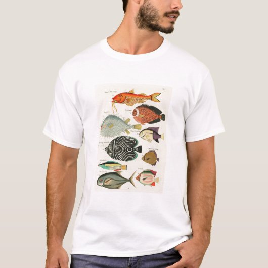 Fische T-Shirt (Vorderseite)
