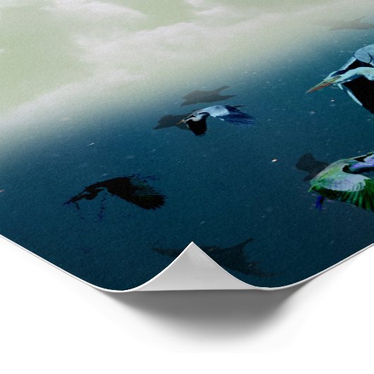 Fische und Schwimmvögel Poster (Ecke)