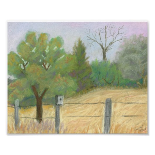 Fische und wild lebende Tiere Fotodruck (Vorne)