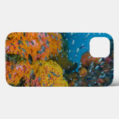 Fische unter Korallenriff Case-Mate iPhone Hülle (Rückseite (Horizontal))