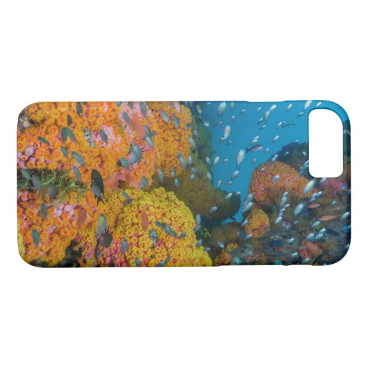 Fische unter Korallenriff Case-Mate iPhone Hülle (Rückseite (Horizontal))