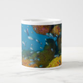 Fische unter Korallenriff Jumbo-Tasse (Vorderseite)