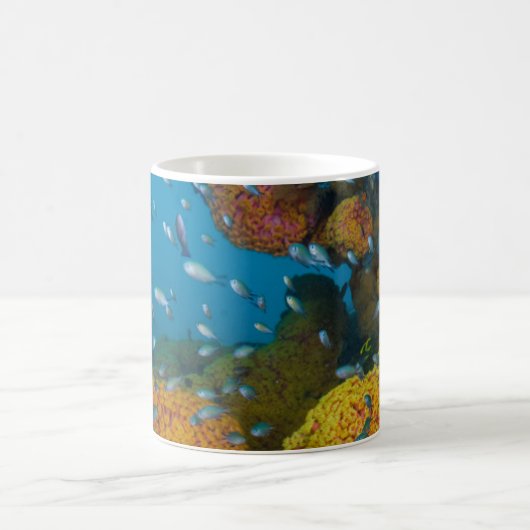 Fische unter Korallenriff Kaffeetasse (Mittel)