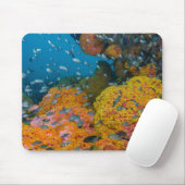 Fische unter Korallenriff Mousepad (Mit Mouse)