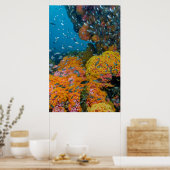 Fische unter Korallenriff Poster (Küche)