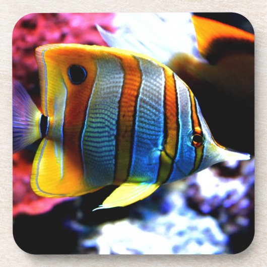 Fische Untersetzer (Vorderseite)