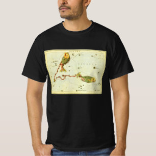 Fische, Vintage-Sternbild Urania's Spiegel T-Shirt