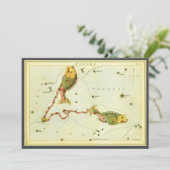 Fische, Vintager Sternbild Urania-Spiegel Einladung (Stehend Vorderseite)