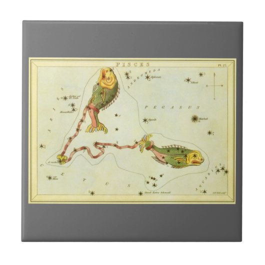 Fische, Vintager Sternbild Urania-Spiegel Fliese (Vorderseite)