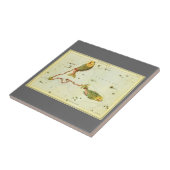 Fische, Vintager Sternbild Urania-Spiegel Fliese (Seite)